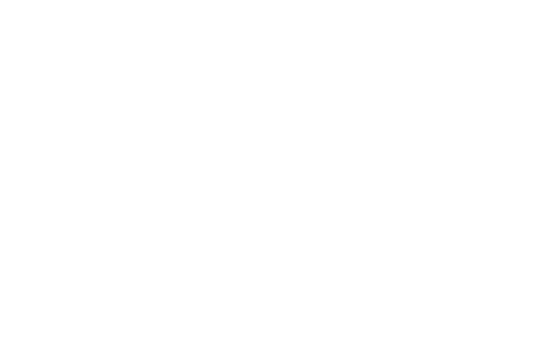 The Female Quotient Logo